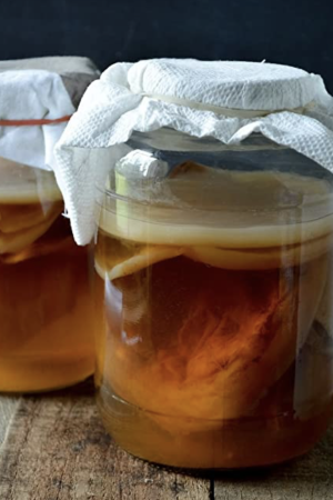 Kombucha Kombucha