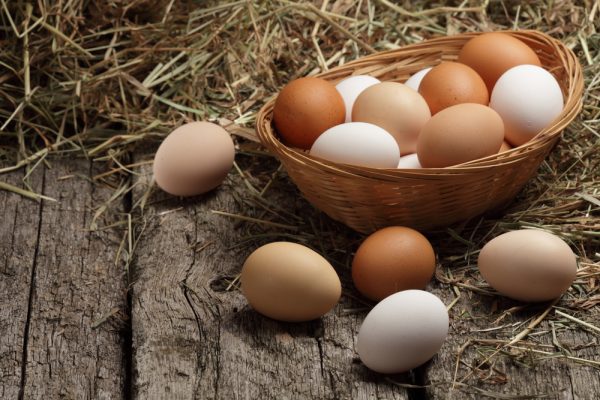 oeufs
